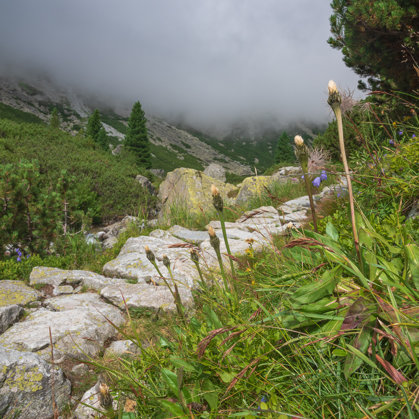 Vysoké Tatry, Malá studená dolina