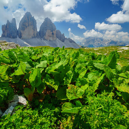 Itálie, Dolomity, Tree Cime di Lavaredo
