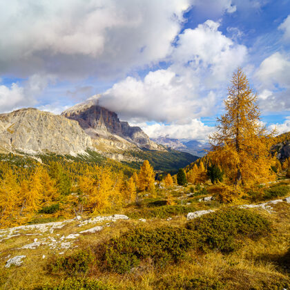 Passo Falzarego, Dolomity
